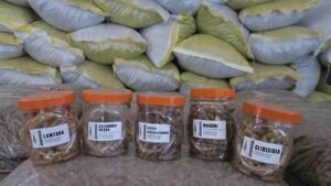 Co-fire Biomass in Power Plants Boosts The Forestry Industry