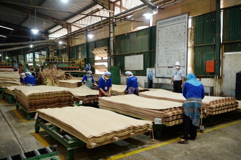 Indonesia’s Forestry Sector Achievements Remain Positive in February 2022