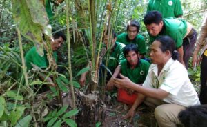 Sistem Sertifikasi Rotan PSG Roles Meluncur, Tawarkan Rotan Lestari dengan Harga Adil Bagi Petani