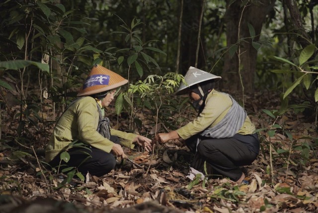 KLHK Ajak Kolaborasi untuk Pengendalian Perubahan Iklim, Swasta Menyambut dengan Aksi Nyata