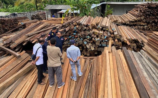 1.626 M3 Kayu Sitaan Digunakan untuk Tata Tahura Ngurah Rai, Ada 3 Jenis Kayu Keras