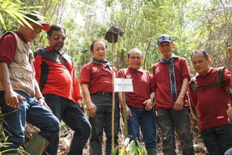 Pulihkan Lahan Kritis di Kalbar, RHL Harus Digencarkan