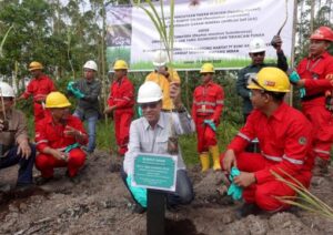 Lestarikan Satwa Liar, Tanaman Pakan Gajah Ditanam di Konsesi APP Sinar Mas