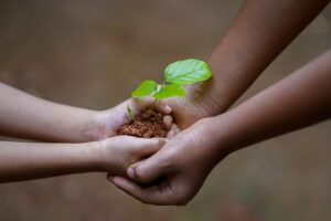 UI Lakukan Sedekah Hutan, 1.000 Pohon Ditanam untuk Peringati Hari Lingkungan Hidup