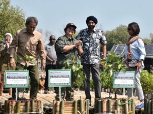 Lihat Bekas Tambak Jadi Hutan Mangrove di Tangerang, Presiden World Bank Terkagum-kagum