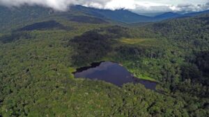 Data Hutan Indonesia Tahun 2022, Luas Hutan dan Laju Deforestasi