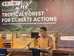 Strategic Partnership Among Tropical Forest Nations to Boost Climate Change Mitigation