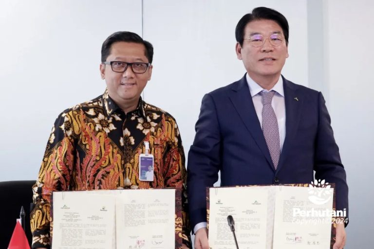 Kembangkan Bisnis Baru Kehutanan, Perhutani Gandeng NFCF Korea