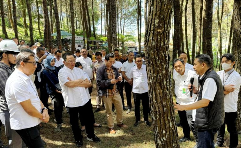 Produksi Hasil Hutan Bukan Kayu (HHBK) 872.136 Ton, PNBP Rp41 Miliar