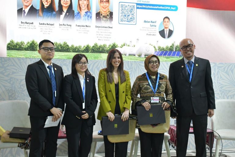 Energi Baru dan Terbarukan Potensial Sokong Target Pertumbuhan Ekonomi 8 Persen Prabowo