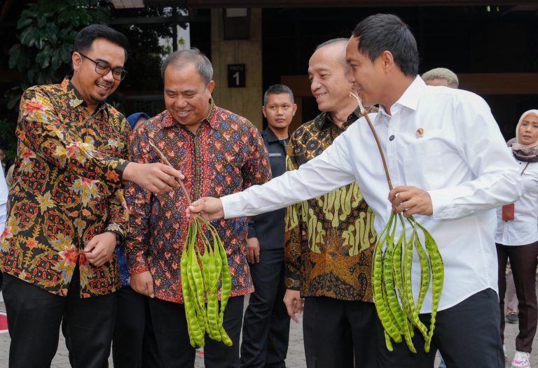 Pete hingga Jengkol dari Perhutanan Sosial Tembus Pasar Jepang, Dikelola Secara Agroforestry