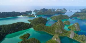 Kementerian Kehutanan Tak Akan Keluarkan Izin Baru di Raja Ampat