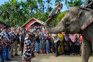 PECI, Bukti Nyata Komitmen Presiden Prabowo Lestarikan Gajah Sumatra
