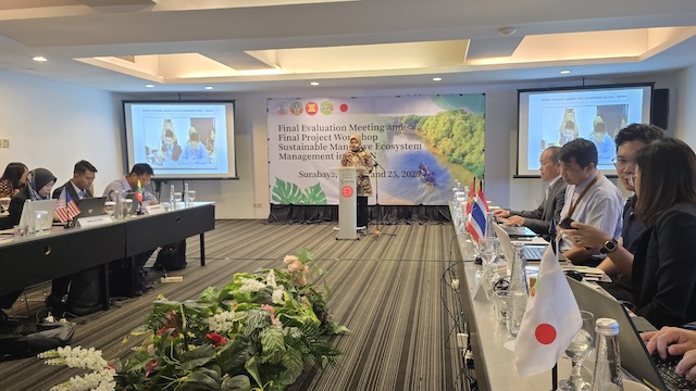 ASEAN dan Jepang Perkuat Aliansi Konservasi Mangrove di Asia Tenggara