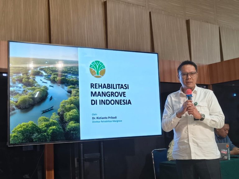 Kementerian Kehutanan Dorong Partisipasi Publik untuk Percepatan Rehabilitasi Mangrove