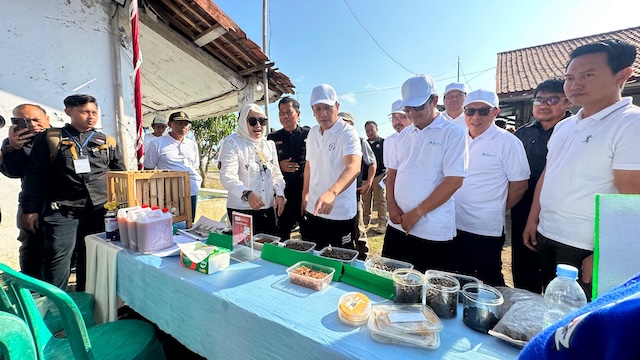 Wamen LH Dorong Penanaman Mangrove dan Pengelolaan Sampah untuk Lindungi Pesisir Subang