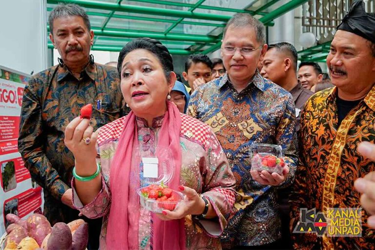 Sukun Diproyeksikan Jadi Penopang Ketahanan Pangan Nasional dan Pangan Dunia
