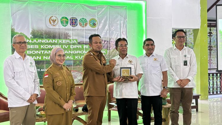 Komisi IV DPR RI Kunjungi Bontang Mangrove Park, Dorong Konservasi dan Pengurangan Emisi Karbon