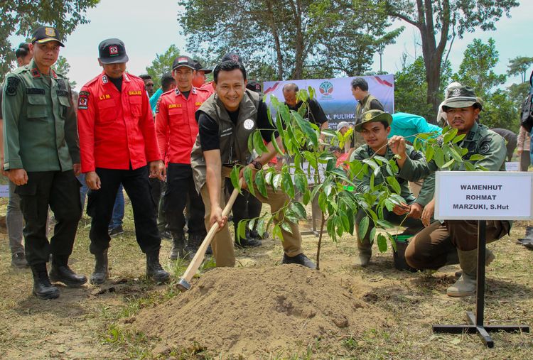 Rimbawan dan Masyarakat Bersatu Pulihkan Hutan Tesso Nilo