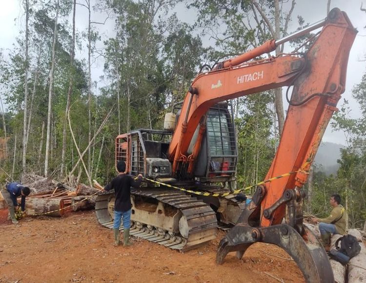 Marak Pencucian Kayu, Penyidik Gakkum Sita Excavator dan Ratusan Batang Kayu
