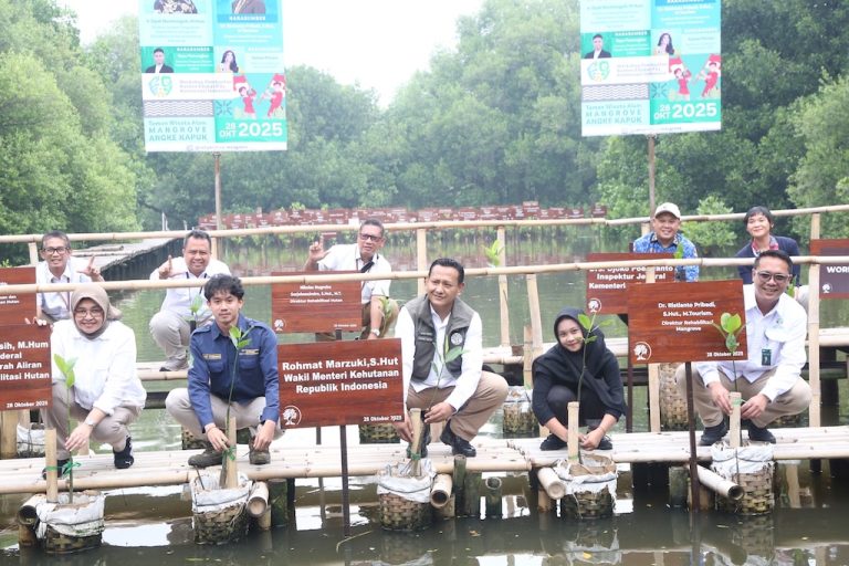 Rehabilitasi Mangrove Tunjukkan Hasil Nyata, Kementerian Kehutanan Perkuat Kelembagaan dan Siapkan Kemitraan Iklim