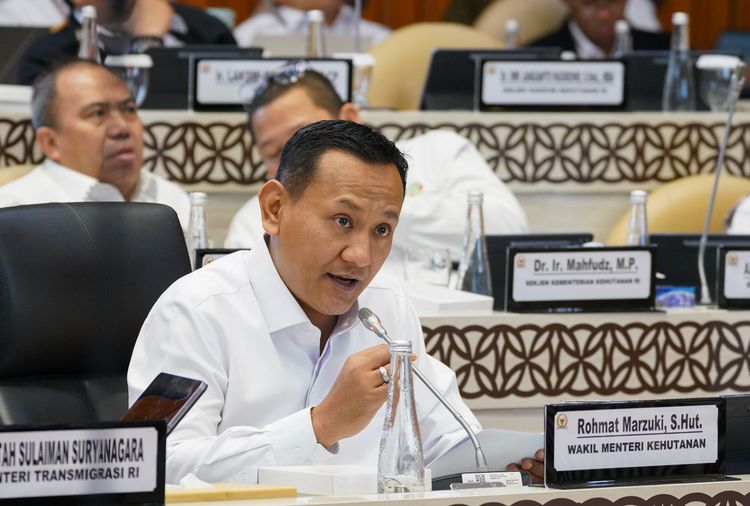 One Map Policy Dinilai Kunci Penyelesaian Konflik Desa di Kawasan Hutan