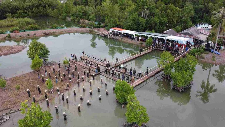 Ministry of Forestry Strengthens Mangrove Rehabilitation through M4CR Program in Kalimantan