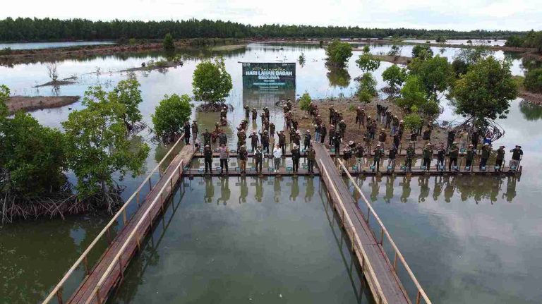 Kementerian Kehutanan Perkuat Rehabilitasi Mangrove melalui Program M4CR di Kalimantan