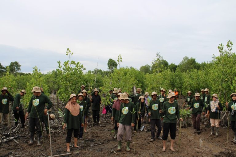 PDASRH Perkuat Rehabilitasi Mangrove di Sumatera melalui Program M4CR