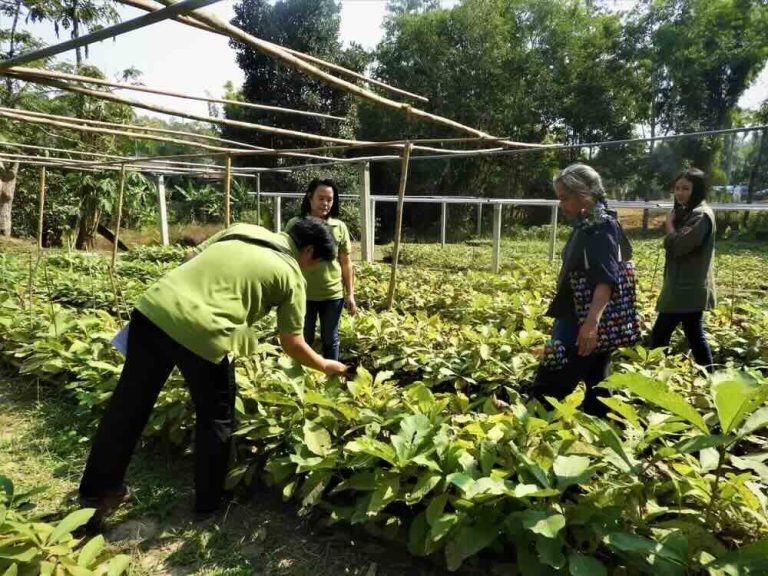 ITTO Tegaskan Hutan Jadi Pilar Ekonomi Global Berkelanjutan
