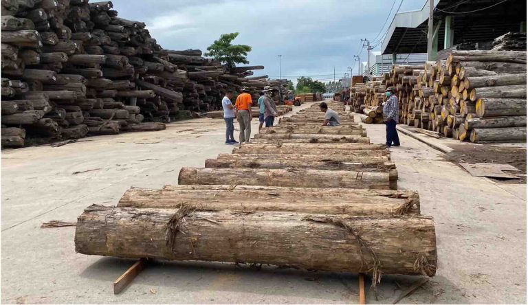 Industri Kayu Global Tertekan, Hanya Indonesia dan Thailand Catat Ekspansi