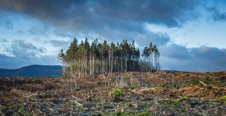 “Loss and Damage” Jadi Agenda Mendesak dalam Negosiasi Iklim Global