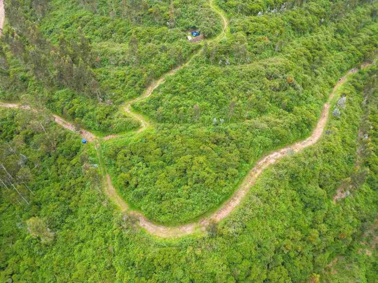 Sertifikasi FSC Dorong Transformasi Ekonomi dan Kelestarian Hutan di Ekuador