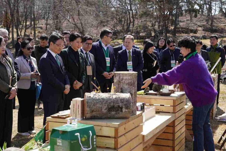Korea Selatan Gandeng Diplomat Dunia, Soroti Peran Hutan Hadapi Krisis Iklim