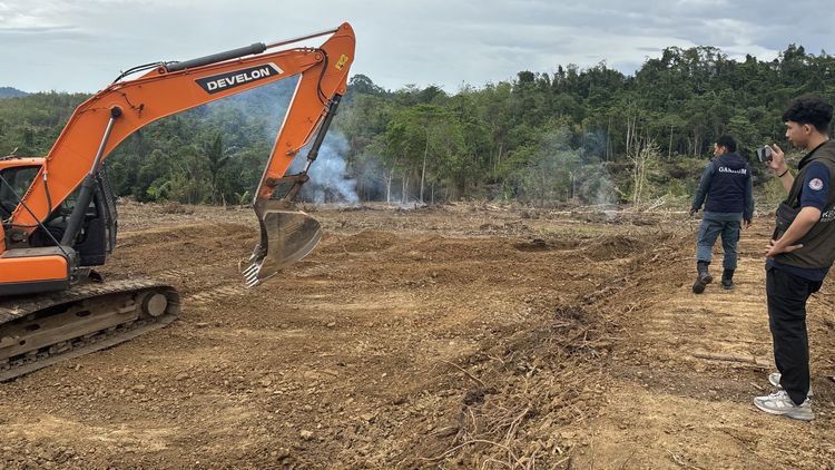 Rambah 9 Hektare Hutan Produksi di Wajo, Tersangka Terancam 10 Tahun Penjara