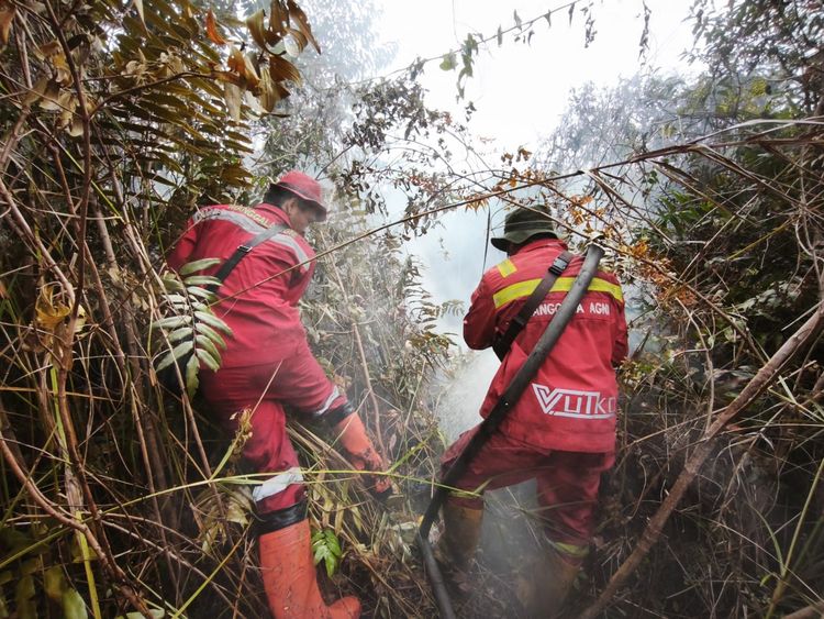 49 Titik Panas Terpantau di Riau, Patroli Udara Disiapkan hingga April