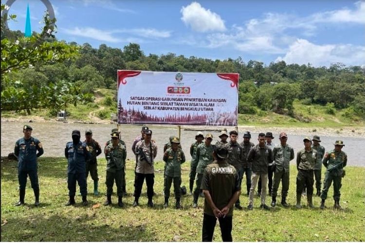 80 Ribu Hektare Hutan Seblat Dibidik Pemulihan, Kemenhut Sasar Pemodal Perambahan