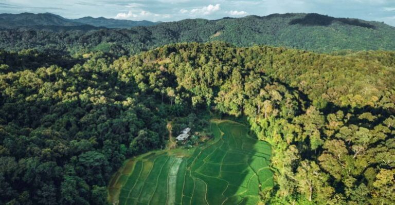 Kerusakan Ekosistem Meningkat, Pakar IPB Tekankan Etika Lingkungan dalam Islam