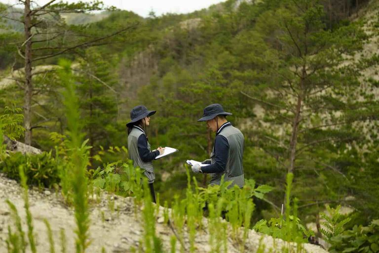 Pasca Kebakaran Besar, Korea Selatan Bangun Sistem Hutan Tahan Iklim