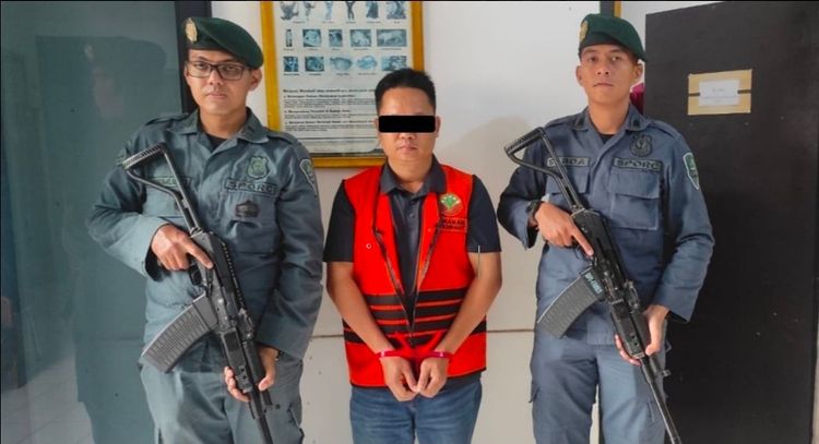 Hampir 800 Kg Sisik Trenggiling Diselundupkan, Ancaman Serius bagi Satwa Dilindungi