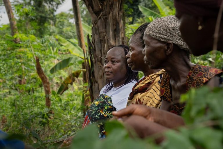 42 Juta Orang Bergantung pada Sektor Hutan, Kesenjangan Gender Masih Tinggi