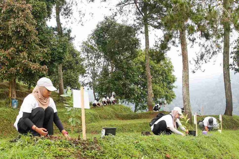 Kemenhut Perkuat Peran Perempuan dan Kolaborasi Multipihak Dukung FOLU Net Sink 2030