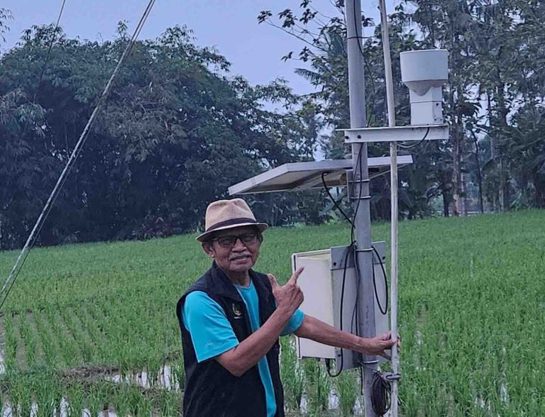 Potensi El Niño 2026 Perlu Diantisipasi Sejak Dini, Pakar Ingatkan Risiko Karhutla dan Krisis Air