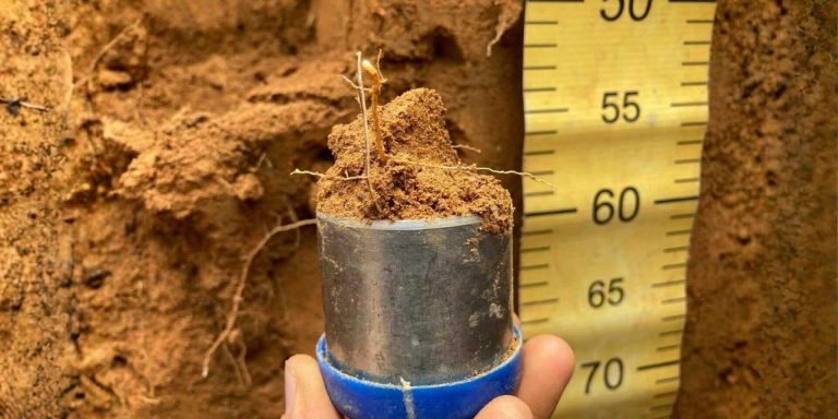 Karbon Tanah Jadi Kunci Baru Hadapi Perubahan Iklim dan Ancaman Pangan Global