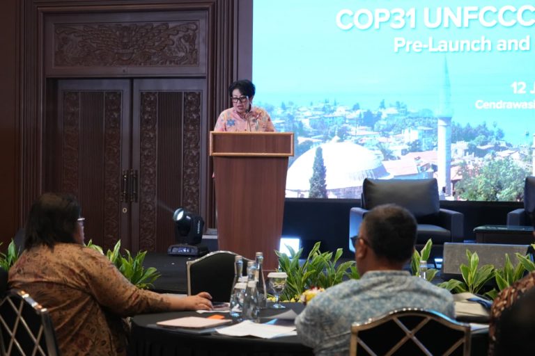 Jelang COP31 Antalya, Indonesia Siapkan Paviliun untuk Gaet Investasi dan Kemitraan Hijau