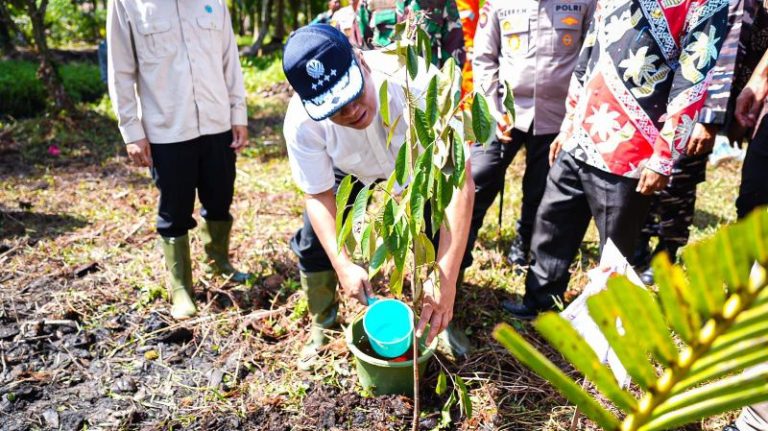 Hadapi Ancaman Karhutla, Menteri LH Percepat Pembangunan Sekat Kanal di Lahan Gambut Riau