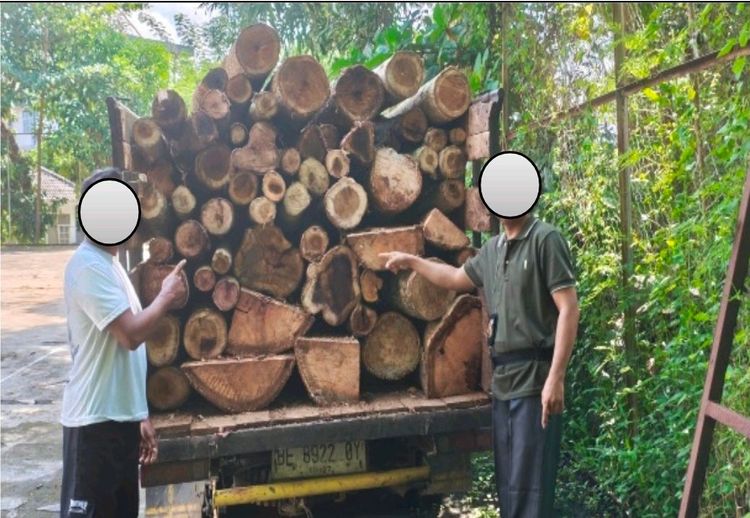 Puluhan Batang Pohon Ditebang, Dua Pelaku Illegal Logging Diciduk di Register 17