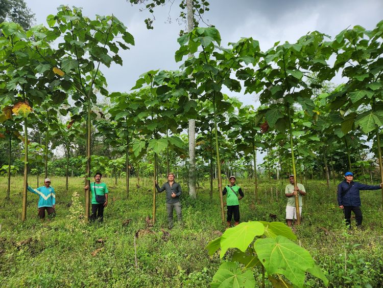Degradasi Lahan Meningkat, Kemenhut Perkuat Peran Masyarakat dalam Restorasi Ekosistem