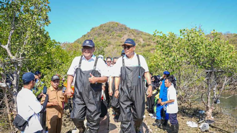 Menteri Jumhur Dorong Sektor Swasta Ambil Peran dalam Rehabilitasi Mangrove Nasional