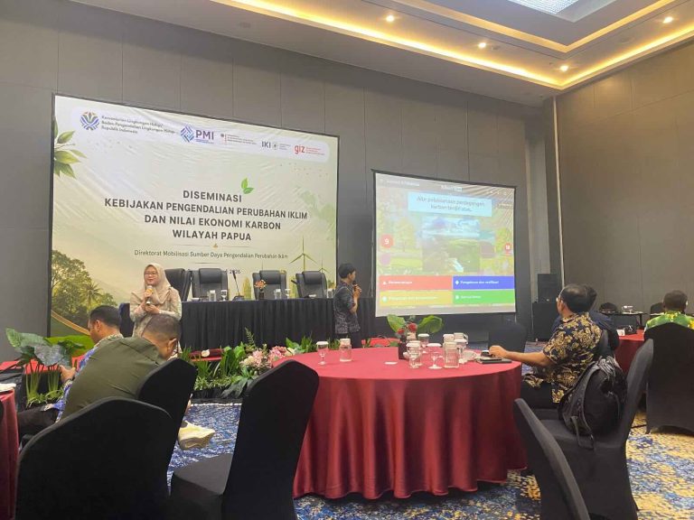 Papua Jadi Kunci Target Emisi Nasional, Pemerintah Perkuat Implementasi Kebijakan Iklim Daerah